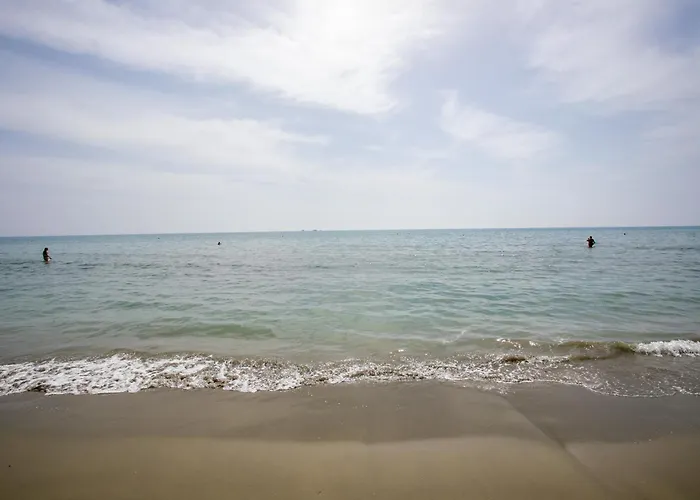 公寓 Palmove Luxurious Beachfront